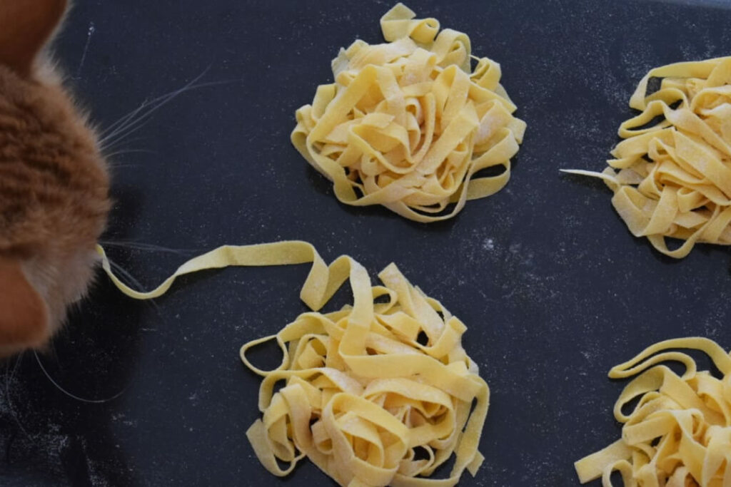 Тесто для пасты — идеальное сочетание муки, яиц и оливкового масла