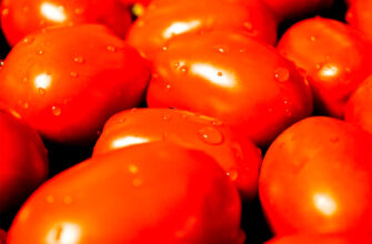 Вяленые томаты — средиземноморская классика
