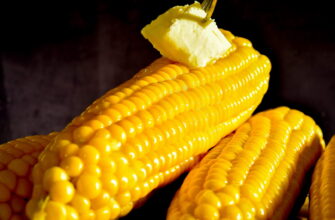 Как сварить и запечь кукурузу в початках (5 способов)